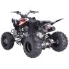 Vitacci Pentora 250 ATV - Black Rear