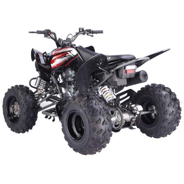 Vitacci Pentora 250 ATV - Black Rear
