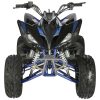 Vitacci Pentora 250 ATV - Black/Blue Front