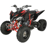 Vitacci Pentora 250 ATV