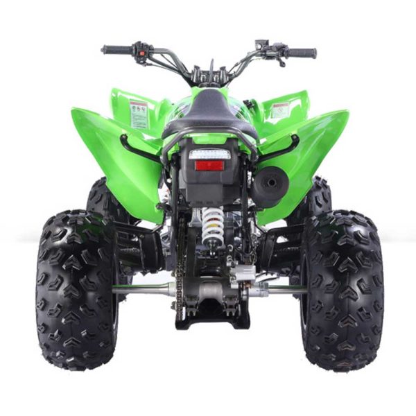 Vitacci Pentora 250 ATV - Green Back