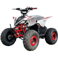 Vitacci Pioneer 125 Kids ATV