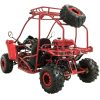 Vitacci Rebel 150 GoKart - rear view