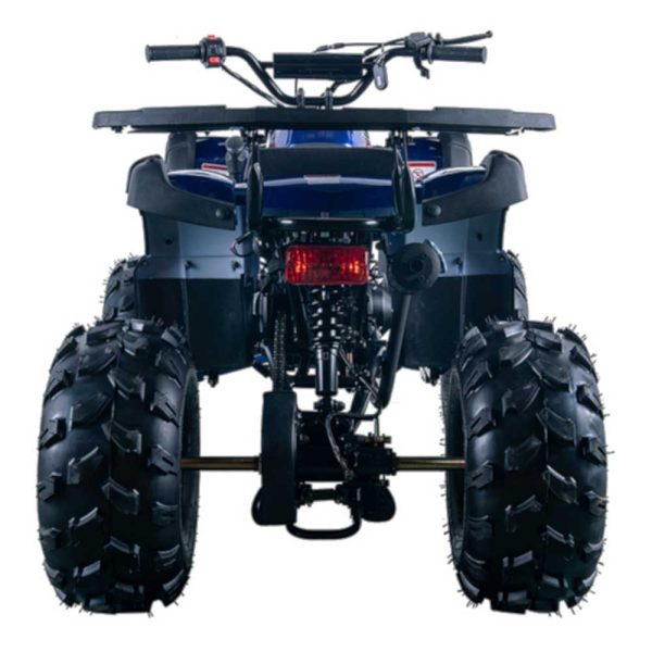 Vitacci Rider 10 125cc Youth ATV - Blue rear view