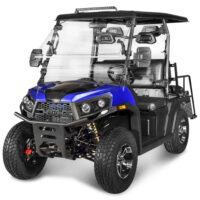 Vitacci Rover 300 EFI Golf Cart