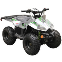 Vitacci RXR 110 ATV