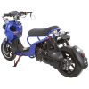 Vitacci Ryker 49 - Blue Rear