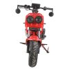 Vitacci Ryker 49 - Red Front