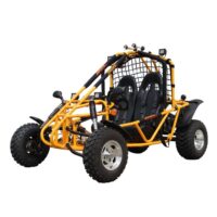 Vitacci Spider 200 DLX GoKart