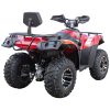 Vitacci Terminator 300 4x4 ATV - Red Rear