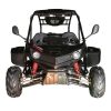 Vitacci T-Rex 125 GoKart - front view