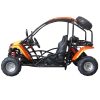 Vitacci T-Rex 125 GoKart - side view
