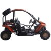 Vitacci T-Rex 125 GoKart - side view