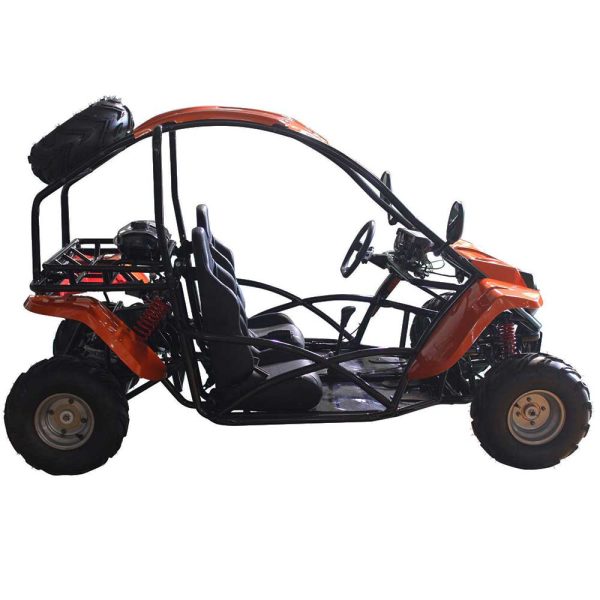 Vitacci T-Rex 125 GoKart - side view