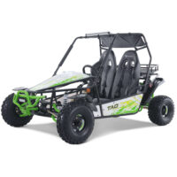 Tao Baja Sport 200 GoKart