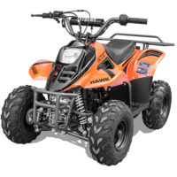 Vitacci Rex 110 Kids ATV
