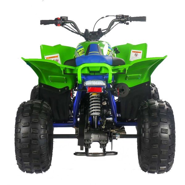 Vitacci Pentora 125 ATV - Rear