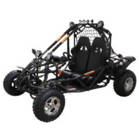 Vitacci Spider 200 DLX GoKart